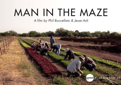 Labirentteki İnsanlık / Man In The Maze