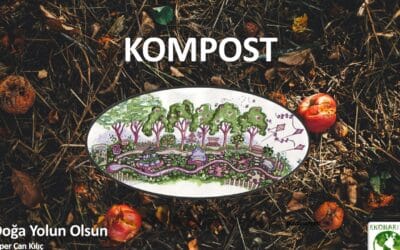 Ataşehir Çevre Festivalinde Kompost Anlatımı