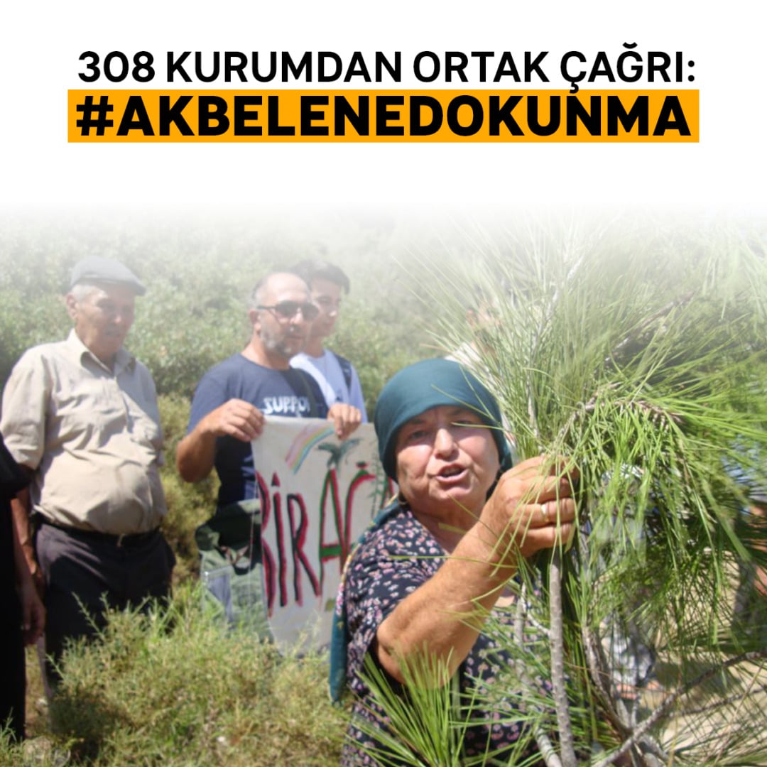 308 Kurumdan Ortak Açıklama: Akbelen Ormanındaki Abluka Kaldırılsın, Kesim Kararı Durdurulsun!